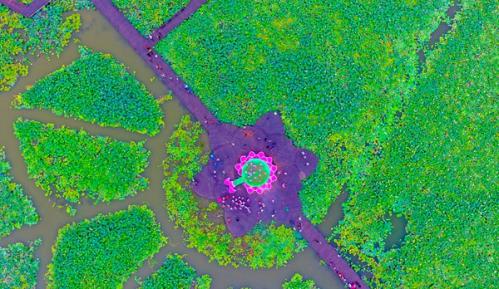 聚焦楚风汉韵山水之城 打造淮南特色“节气金名片” ——“中国天气”品牌赋能乡村振兴秋分节气发布会即将召开