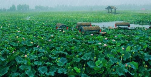 秋分遇长假！跟着秋分节气生态文旅品牌名录去旅行吧