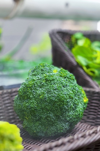 正是橙黄橘绿时！寒露节气全国名优特产品名录发布 品尝秋天的味道