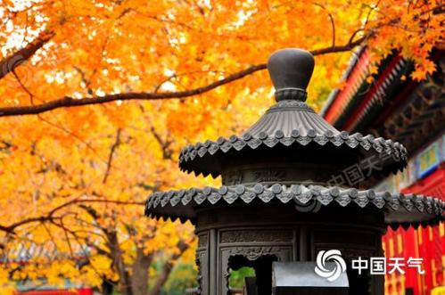 全国重阳节登高指数地图出炉 别错过这秋季十大最美“至高点”