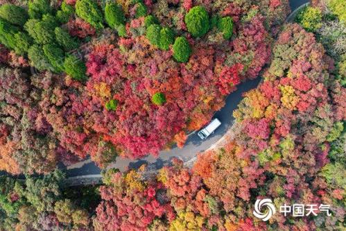 红叶季开启！2024全国赏红叶地图出炉 盘点十大推荐地独家秋色