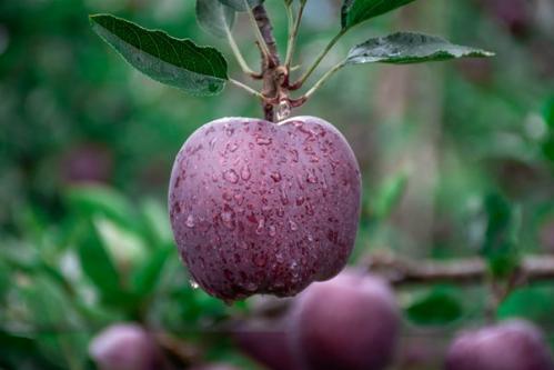 品味六地农珍 霜降节气全国名优特产品名录发布