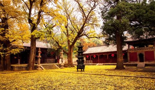 秋之终章冬之序曲 米谷满仓秋色斑斓——“中国天气”公益助农霜降名录发布